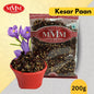 Kesar Paan Mouth Freshener | After Meal Mukhwas | 100% Homemade | Available in 100gms,200gms. - M Motilal Masalawala